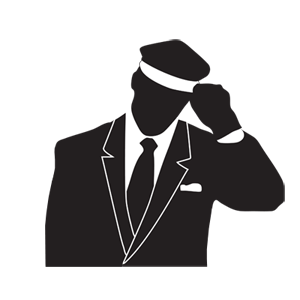 Chauffeur Drive Services 